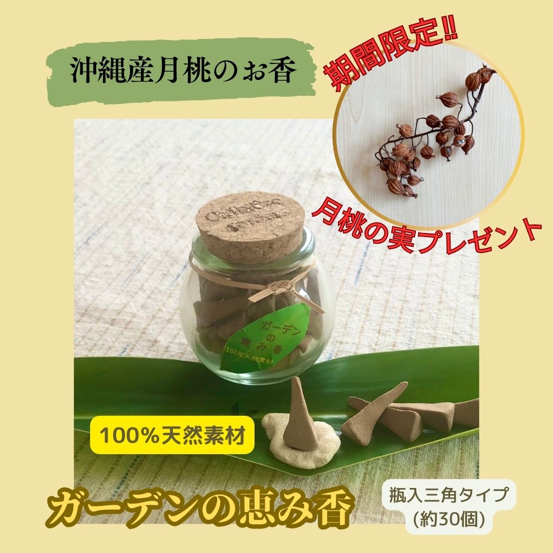 期間限定‼月桃の実プレゼント！【瓶入・三角タイプ】ガーデンの恵み香