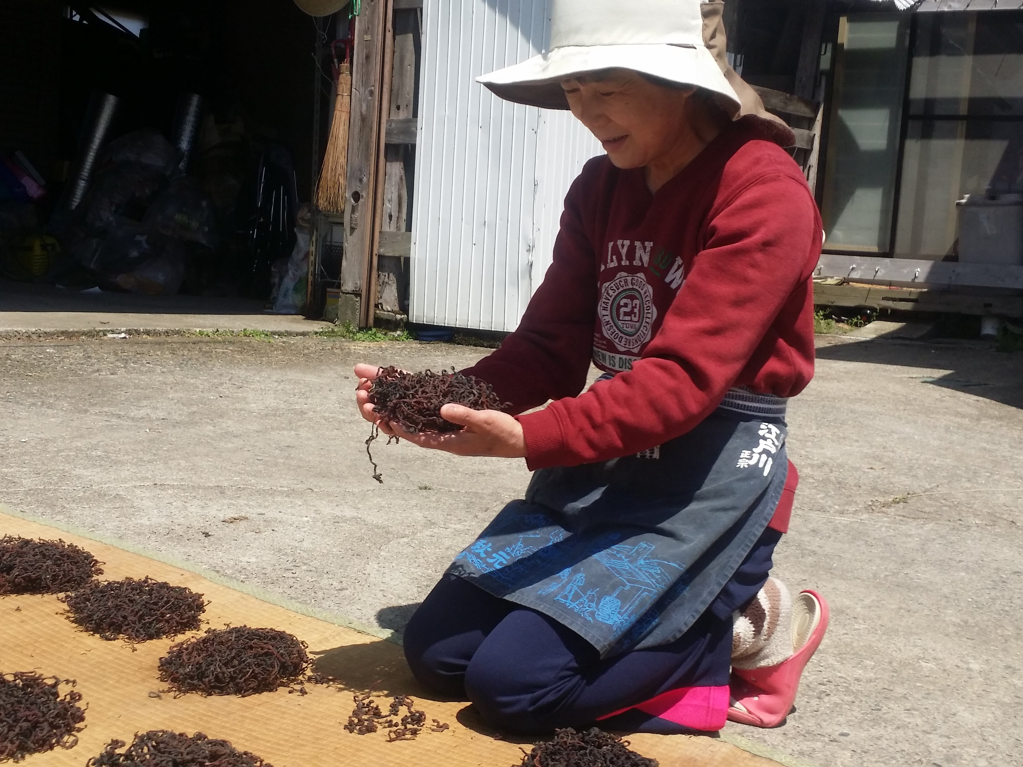 雪割山菜】魚沼産乾燥ぜんまい40g/新潟/越季（こしき）