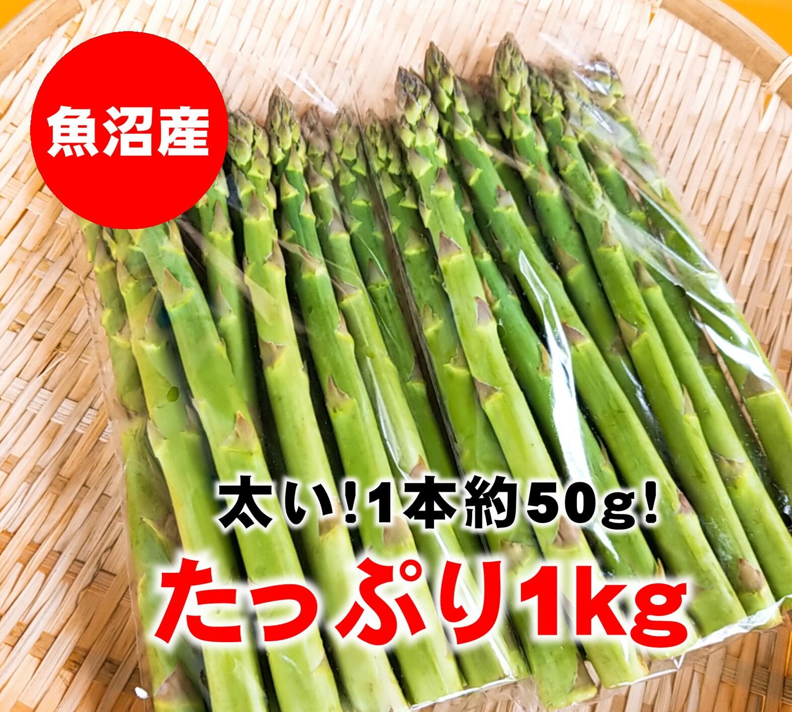 津南産特大アスパラガス/500g×2/新潟/魚沼/越季（こしき）
