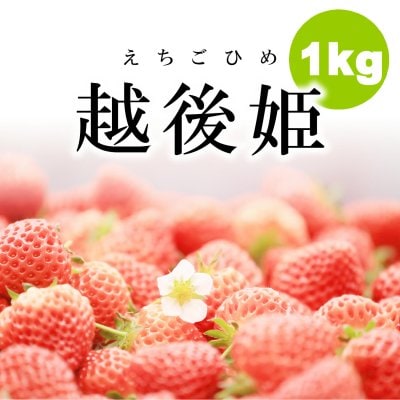 【訳あり・冷凍いちご】1kg新潟・越後姫（えちごひめ）加工用/飲食店にオススメ/冷凍品同梱可/越季（こしき）