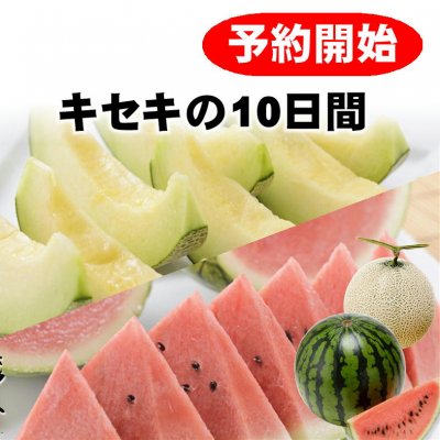 【予約受付中】八色産小玉すいか×魚沼メロン/新潟県魚沼地方限定/越季(こしき)