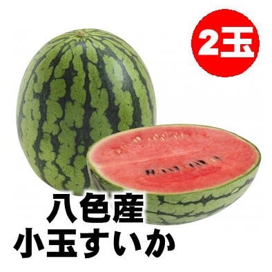【予約受付中】八色産小玉すいか2個|新潟県魚沼八色地方限定/越季（こしき）