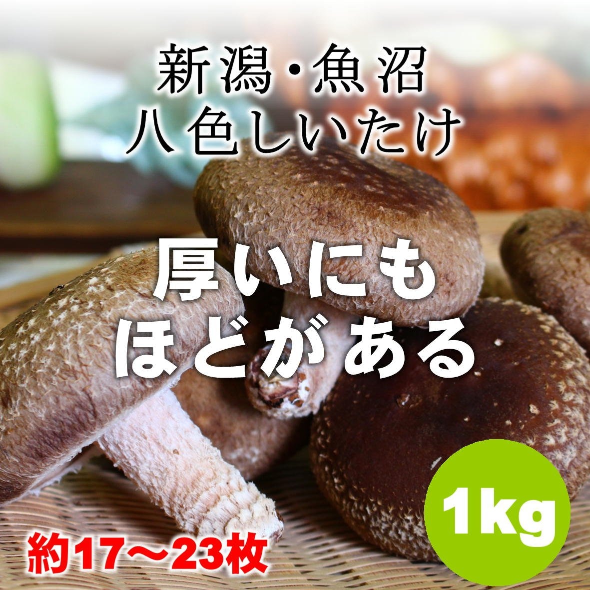 魚沼産】八色しいたけ/きのこ/1kg/新潟/越季（こしき）