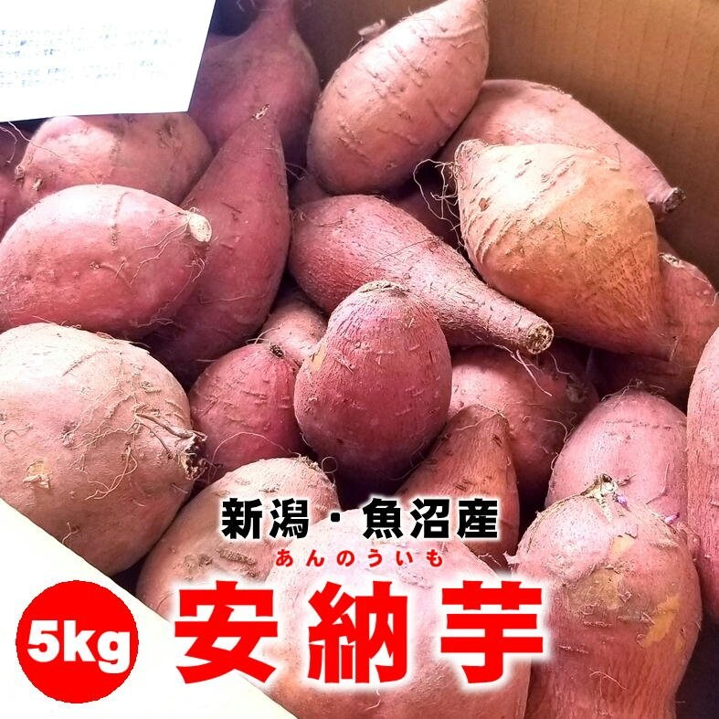 新潟県魚沼産】安納芋（あんのういも）/5kg/さつまいも/越季（こしき）