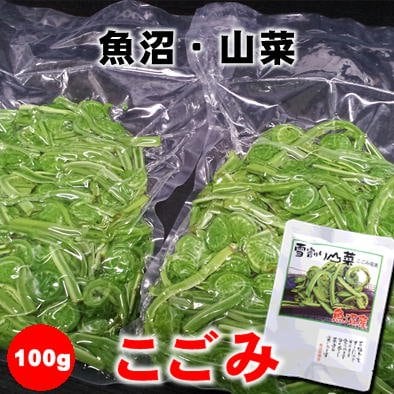 数量限定】魚沼山菜こごみの塩漬け100g/新潟/越季（こしき）