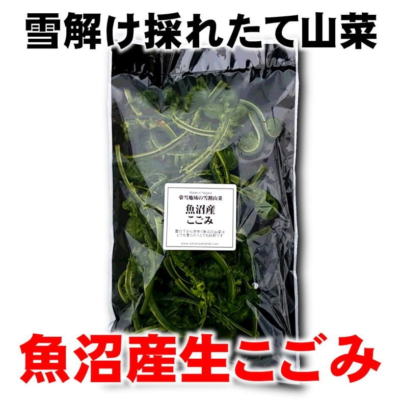 季節限定】新潟魚沼/天然生こごみ/採れたて山菜/150g/冷蔵/越季（こしき）