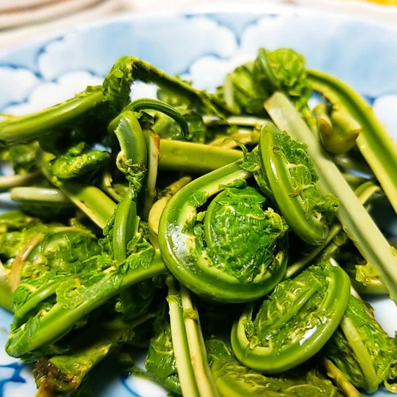 季節限定】新潟魚沼/天然生こごみ/採れたて山菜/150g/冷蔵/越季（こしき）