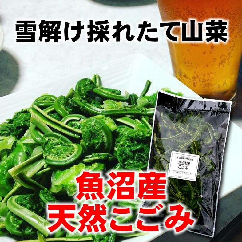 季節限定】新潟魚沼/天然生こごみ/採れたて山菜/150g/冷蔵/越季（こしき）