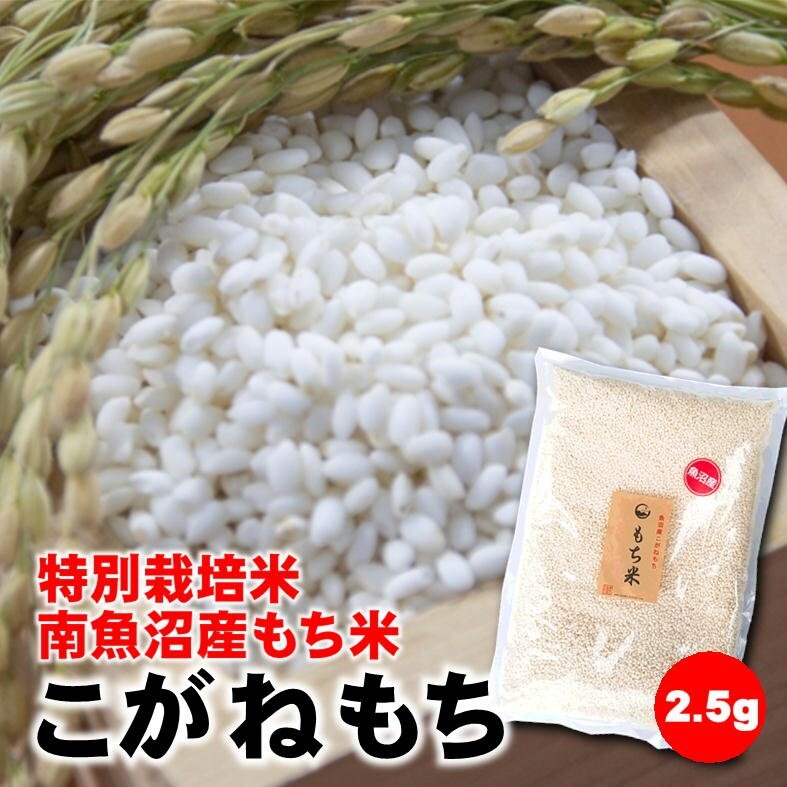もち米 5kg×2個 新潟・魚沼/もち米2.5kg/こがねもち/JGAP特別栽培米/餅米/越季（こしき）