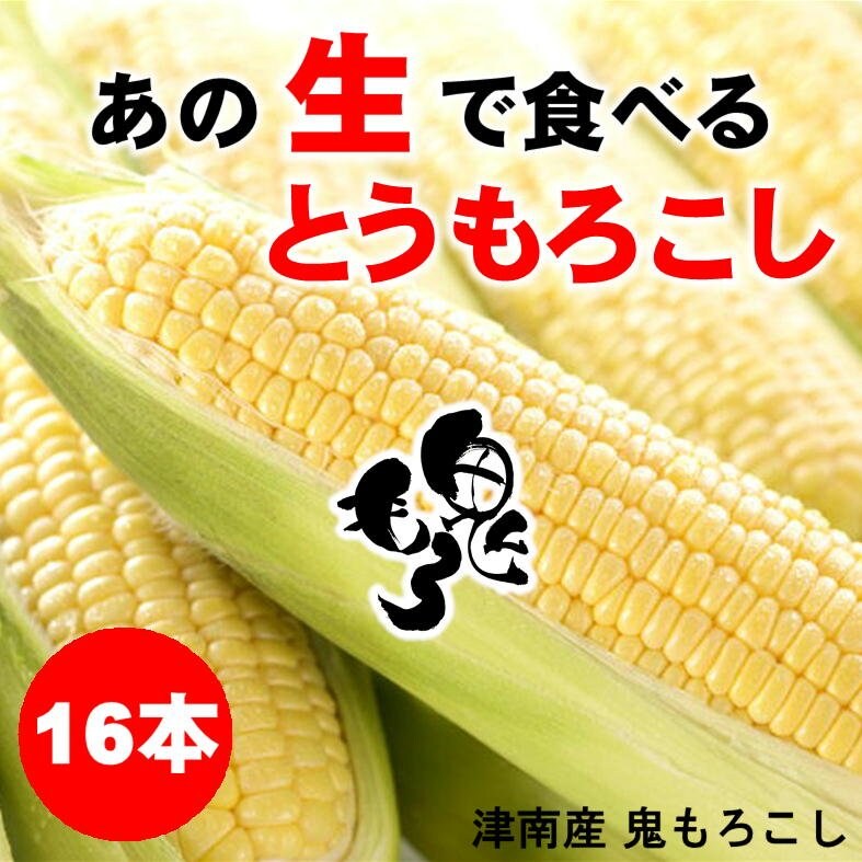 予約受付中】「生で食べれる。糖度18度。甘すぎる。」鬼もろこし16本