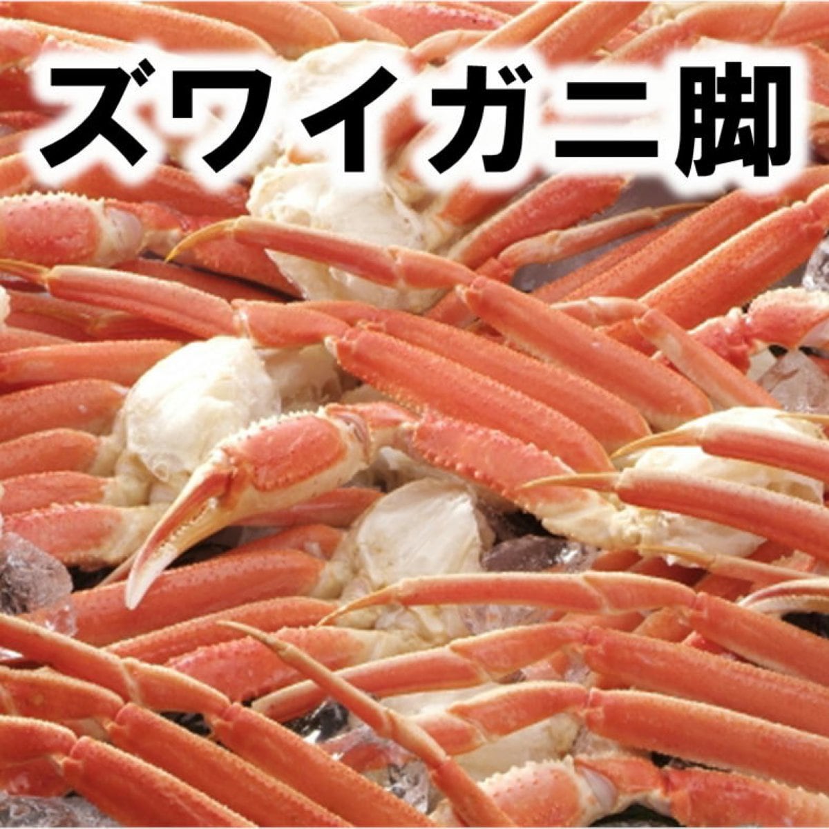 【処分価格】冷凍ボイルズワイガニ肩（足）３Ｌサイズ/約2キロ/6肩/数量限定