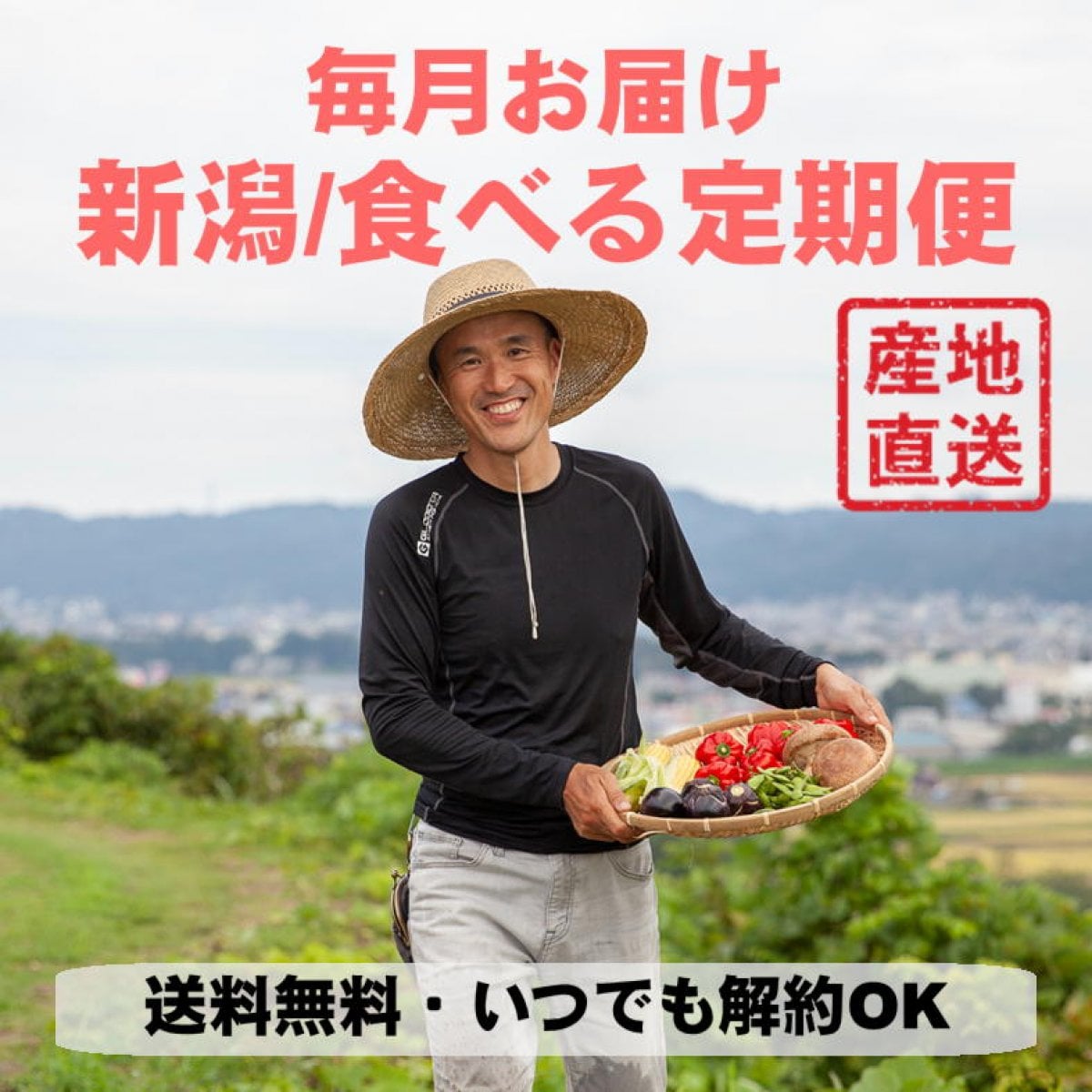 特集商品画像