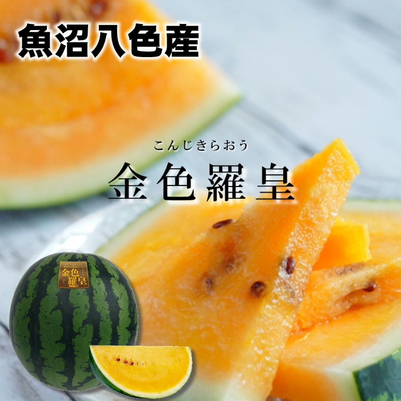 予約受付中】魚沼八色産黄肉すいか/金色羅皇/新潟越季/FA432