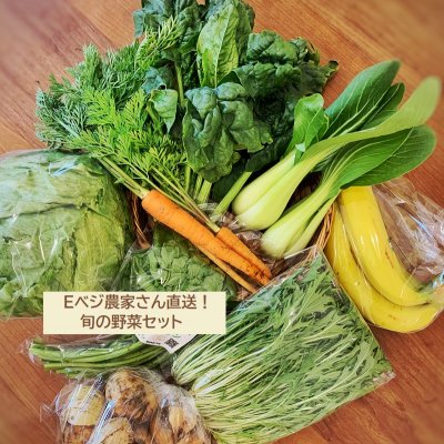 Eベジ農家野菜セット｜農家直送｜無農薬無化学肥料｜いろいろな農家さんの旬の野菜が入ったセットです！