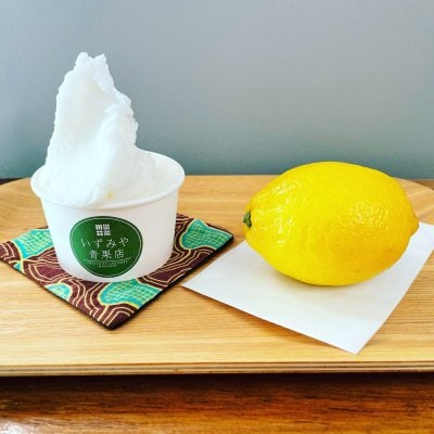 季節のおまかせジェラート　6個入りセット　ピスタチオ入り