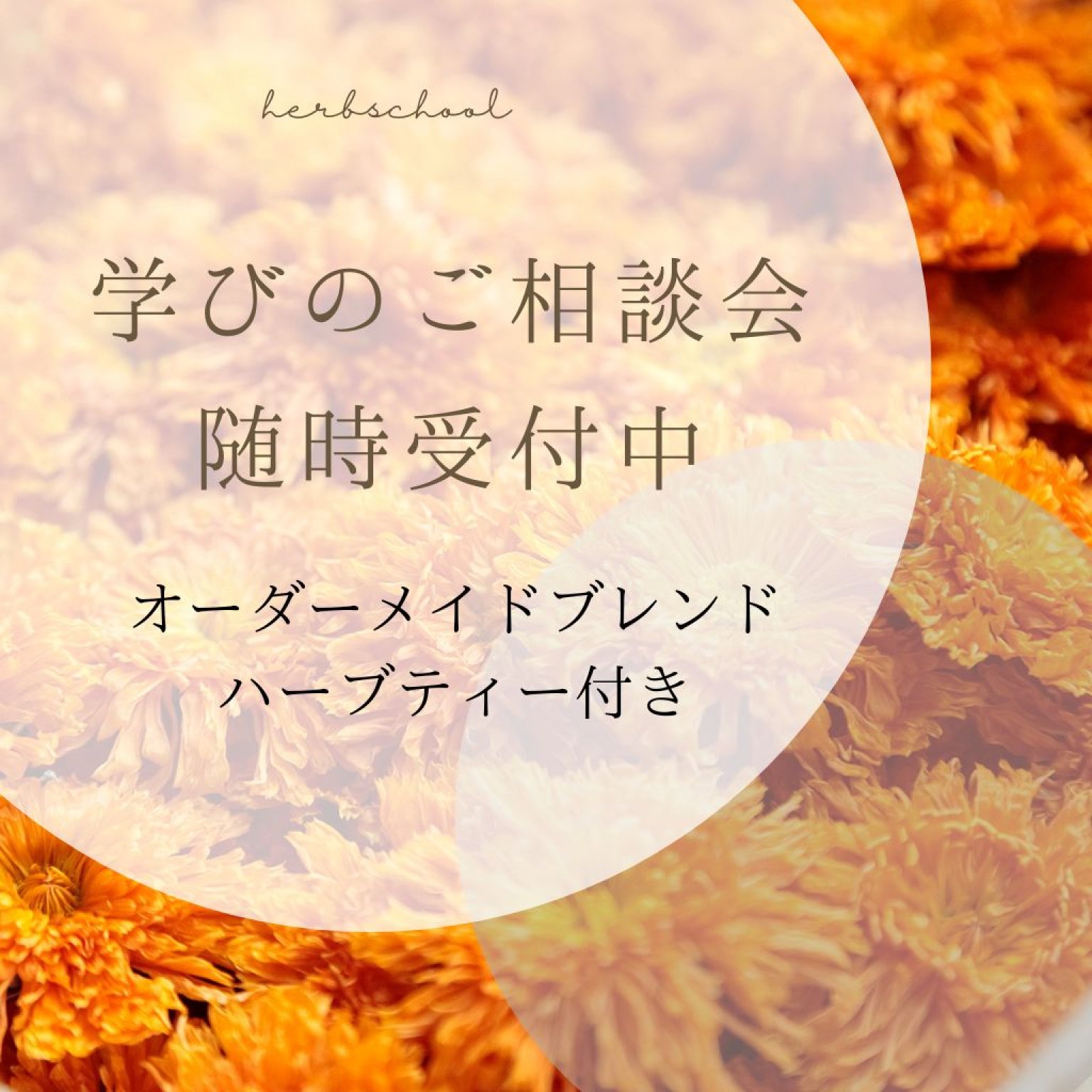 学びのご相談会〜オーダーメイドハーブティー付き