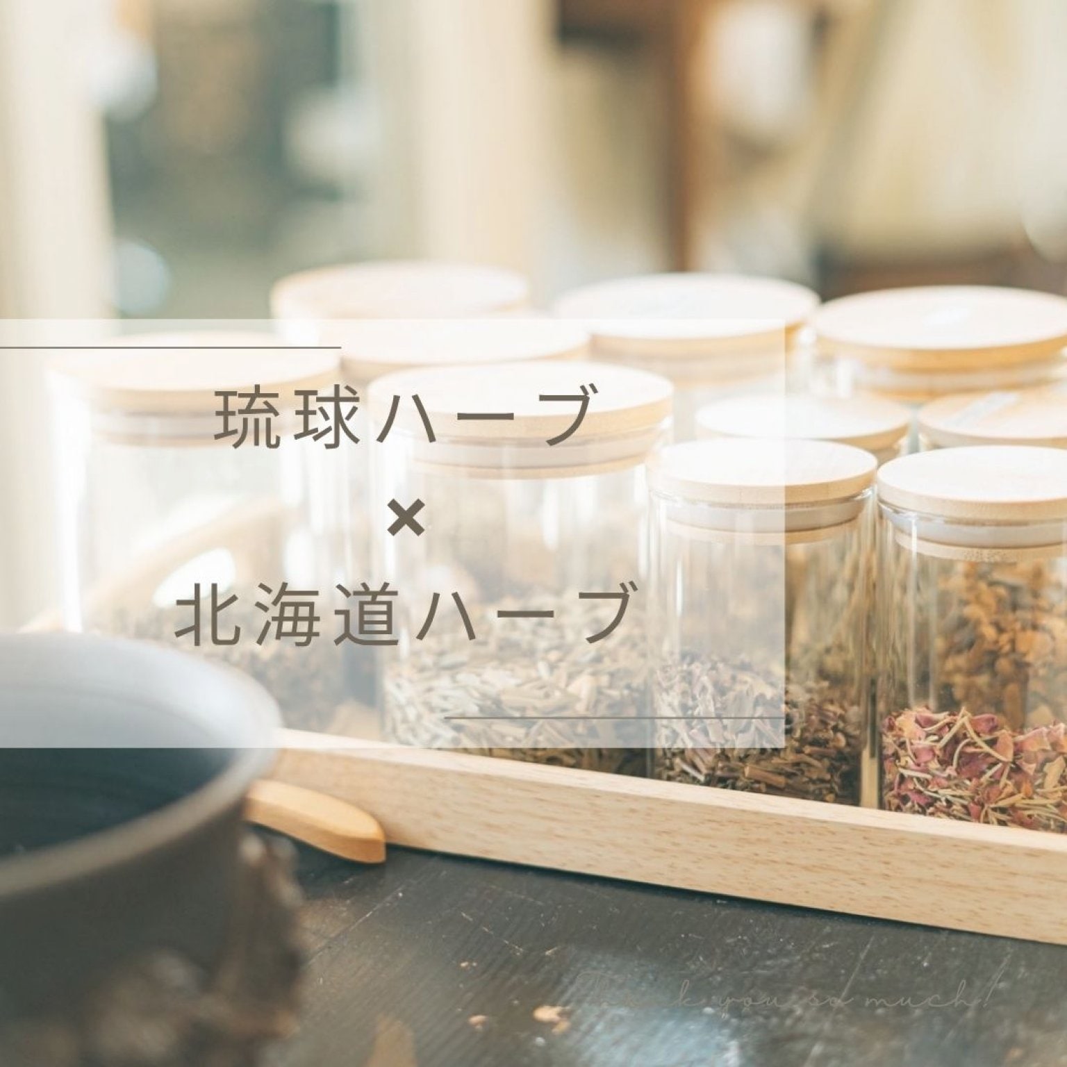 赤土琉球ハーブ蒸し × 北海道ハーブ 〜植物療法 カウンセリング付き〜