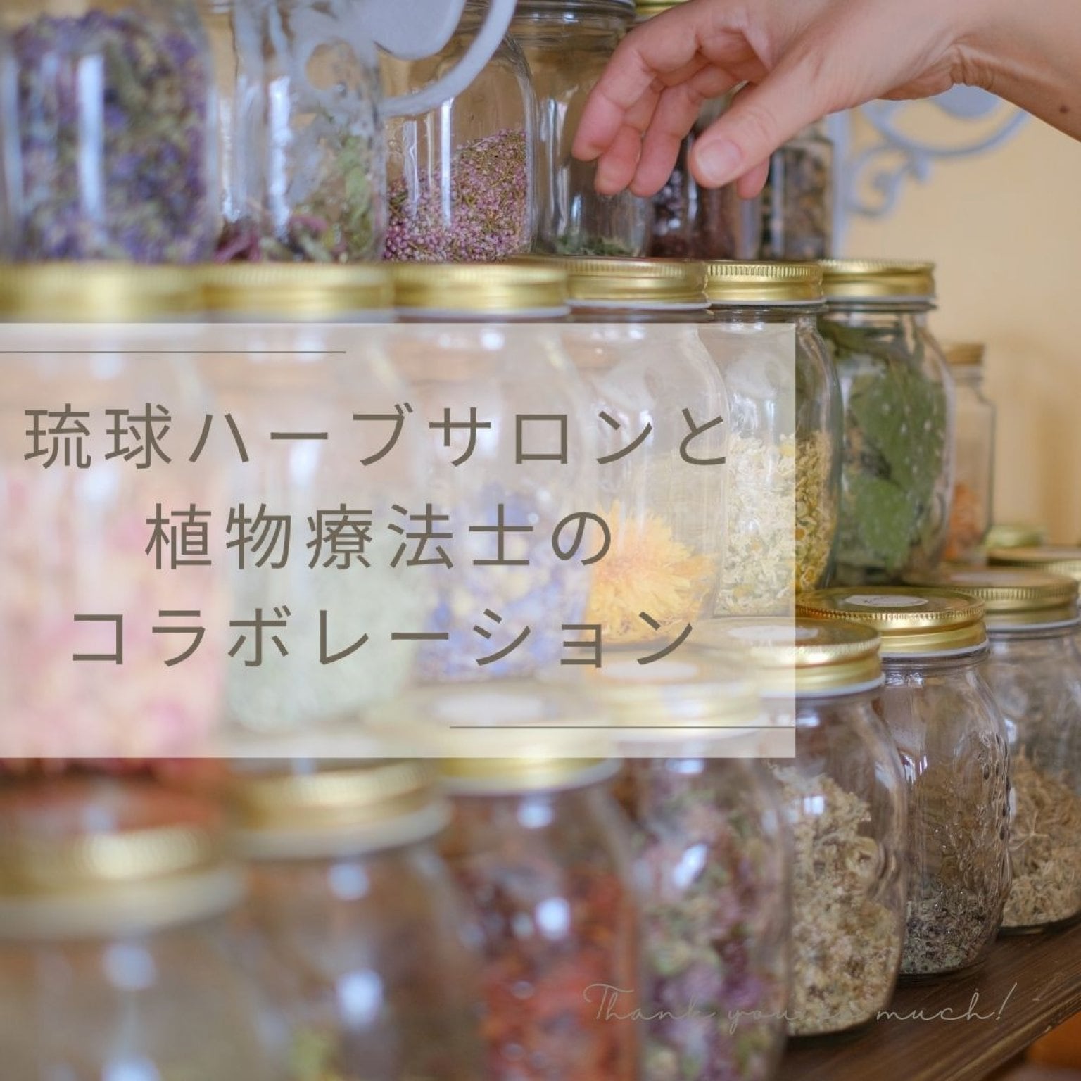 赤土琉球ハーブ蒸し × 北海道ハーブ 〜植物療法 カウンセリング付き〜