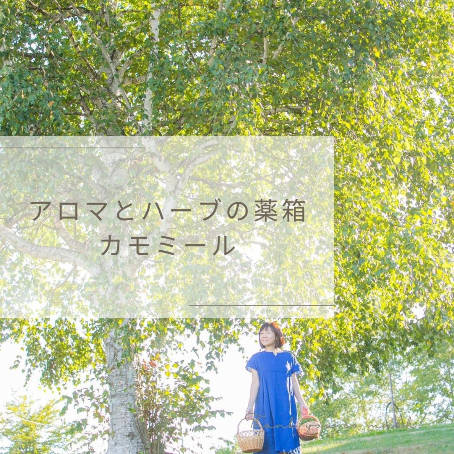 赤土琉球ハーブ蒸し × 北海道ハーブ 〜植物療法 カウンセリング付き〜