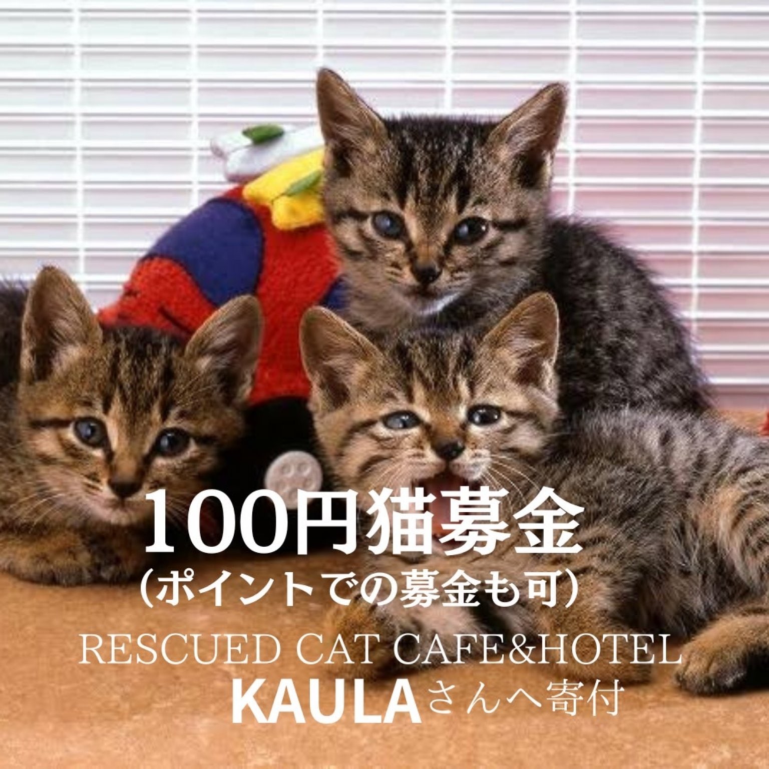 ツクツク!!!ウェブチケット