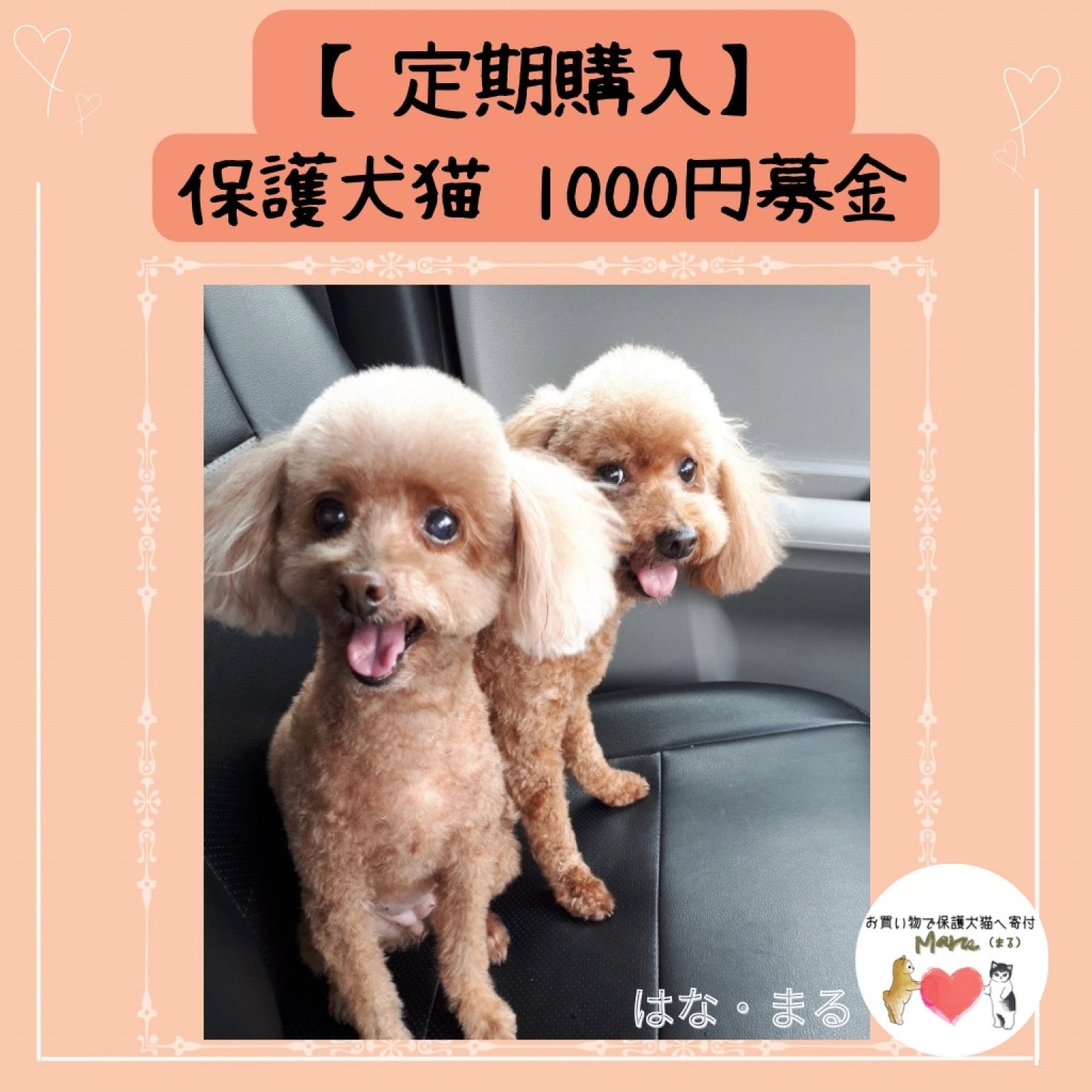 【定期購入】保護犬猫支援活動1000円寄付＊沖縄(ポイントでの寄付も可能)