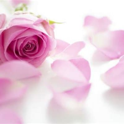 女性のための30分カウンセリング🌺【今だけ体質にぴったりのアロマオイルをプレゼント中✨】】