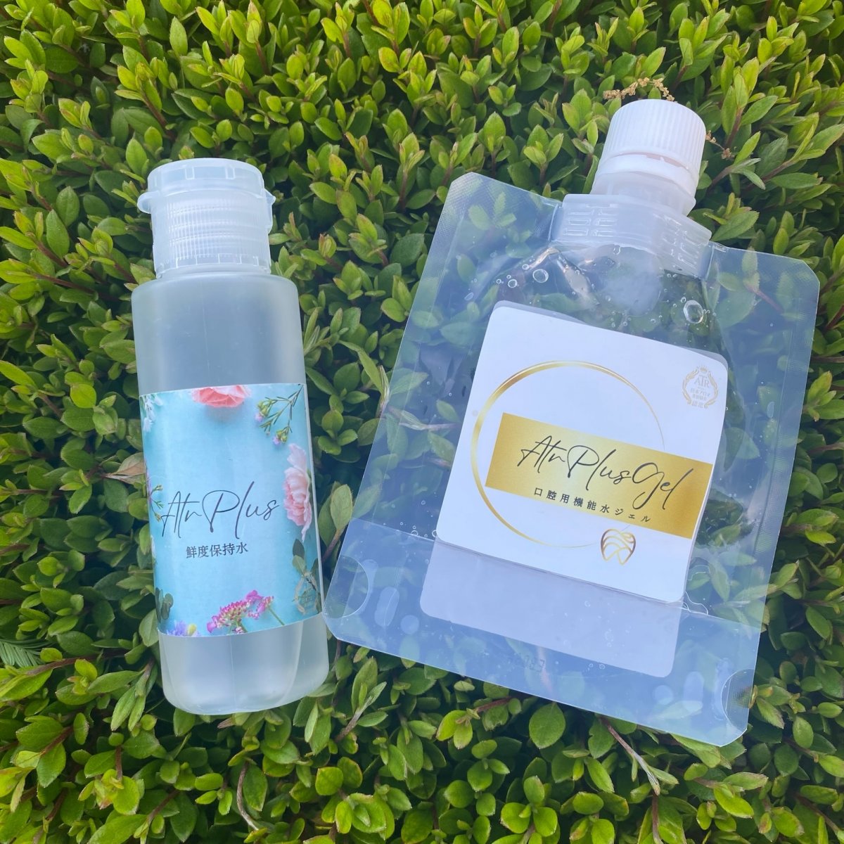 2月22日 　20:00~21:30  ATRPLUS 活用法セミナー　