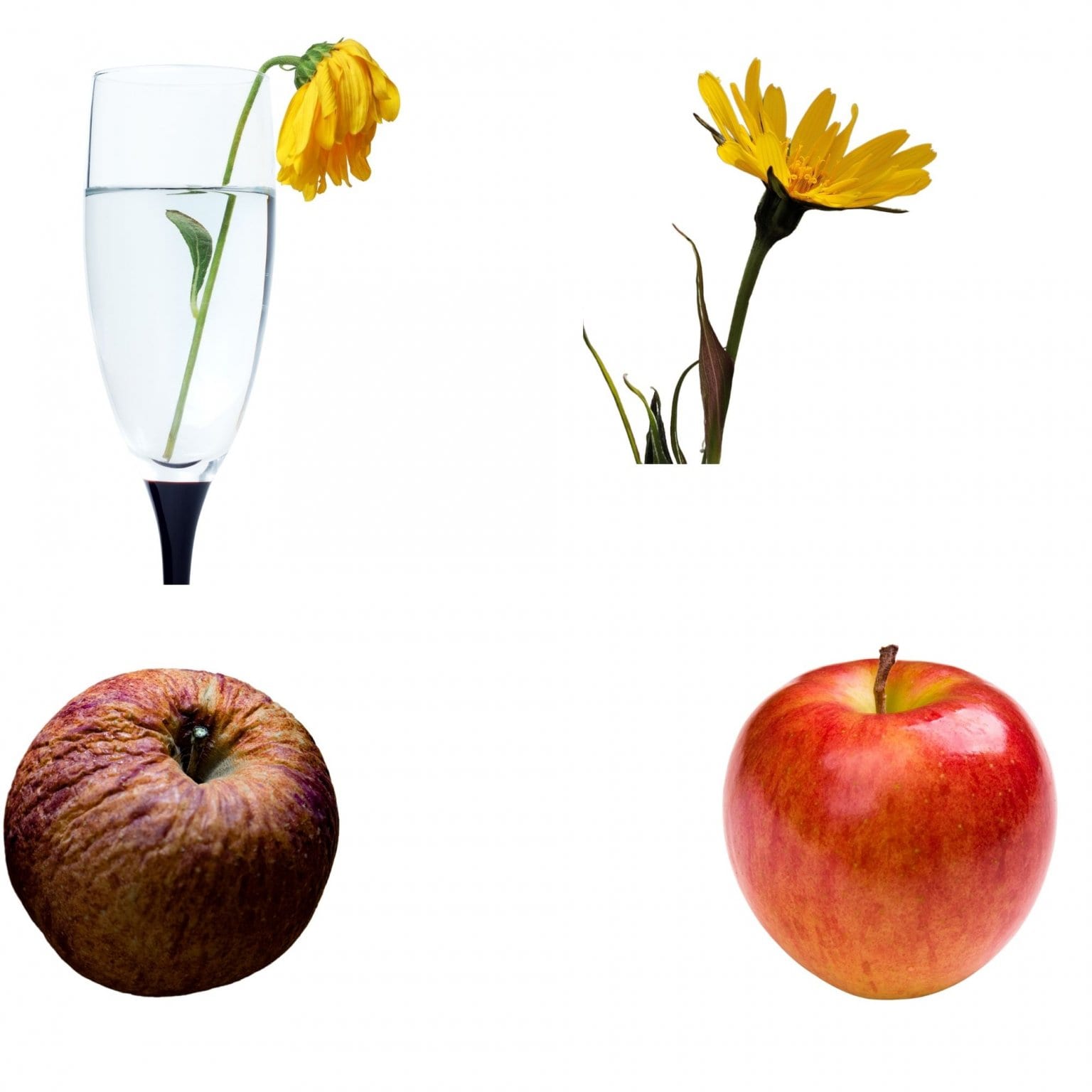 2月22日 　20:00~21:30  ATRPLUS 活用法セミナー　