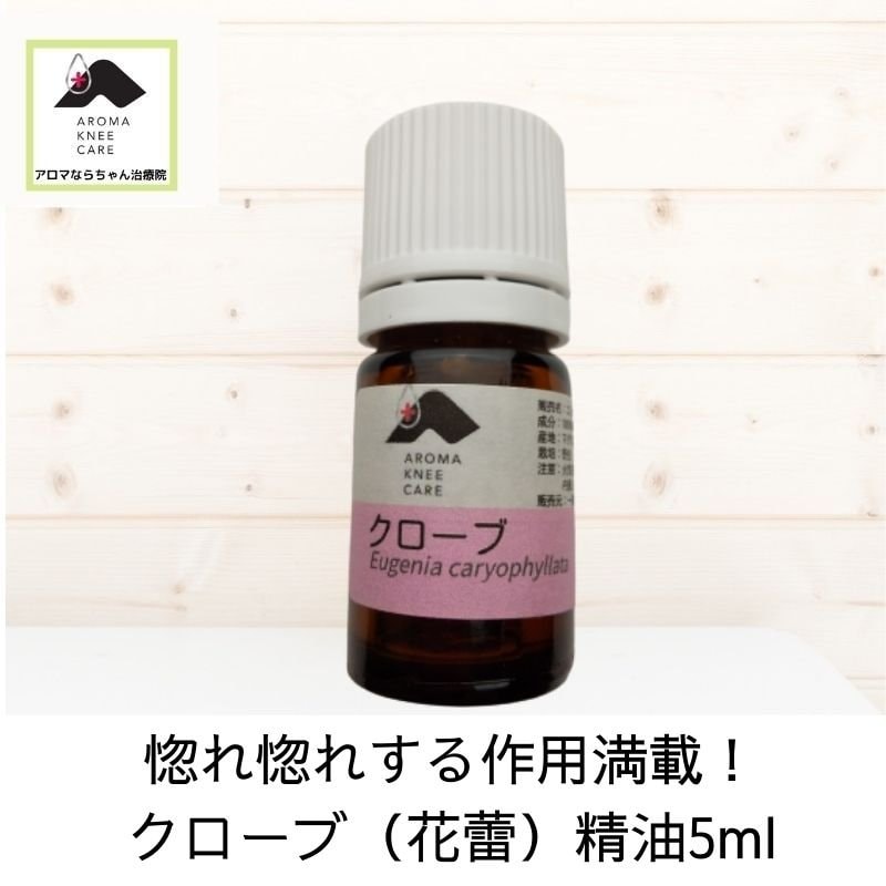 惚れ惚れする作用満載！クローブ