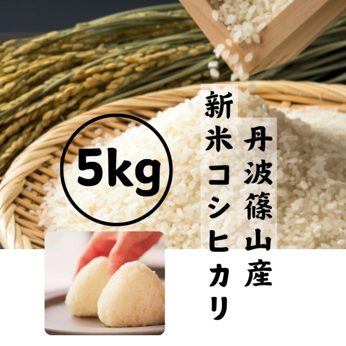 【予約】令和７年産コシヒカリ５kg