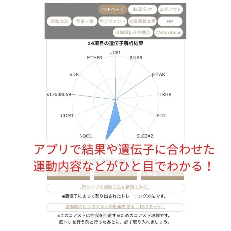 DNA pro14項目遺伝子検査キット＋プランニング付き