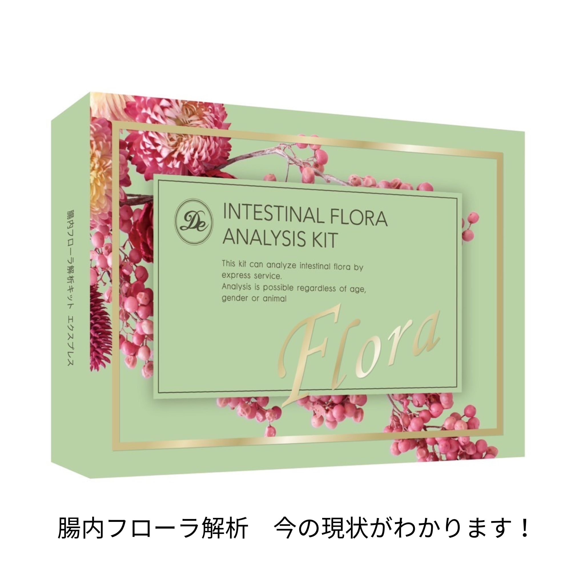 De腸内フローラ解析キット +プランニング付き