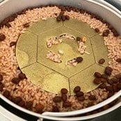 FTWビューラープレート【送料無料！高ポイント！】