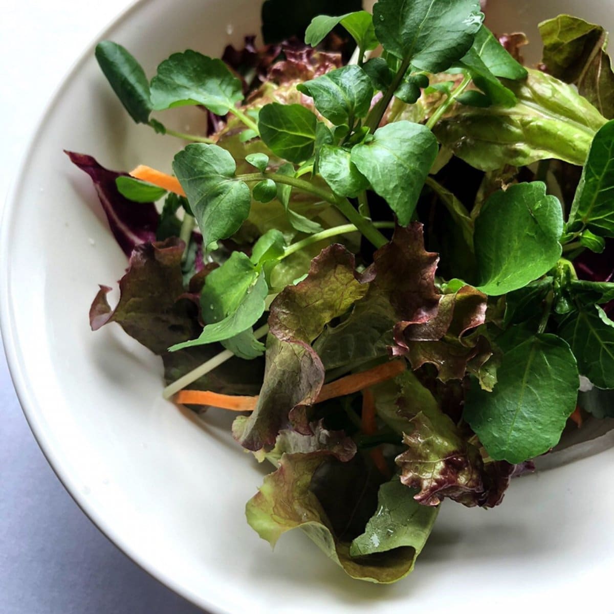 ベーシックサラダ/約300ｇ/岐阜野菜通販/[さすてなファーム］