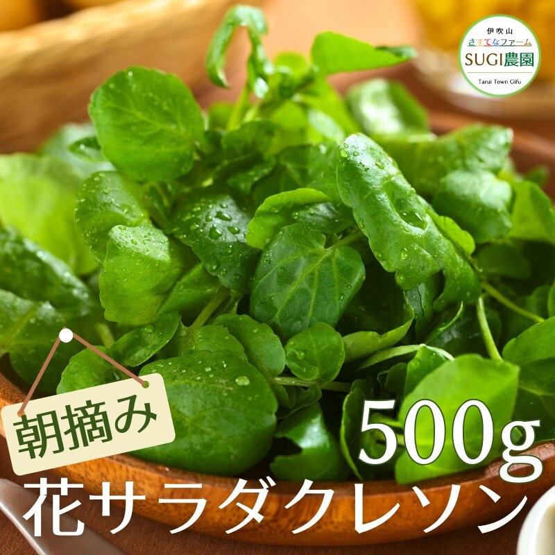 500g】朝摘みクレソン｜岐阜野菜通販 [さすてなファームSUGI農園]