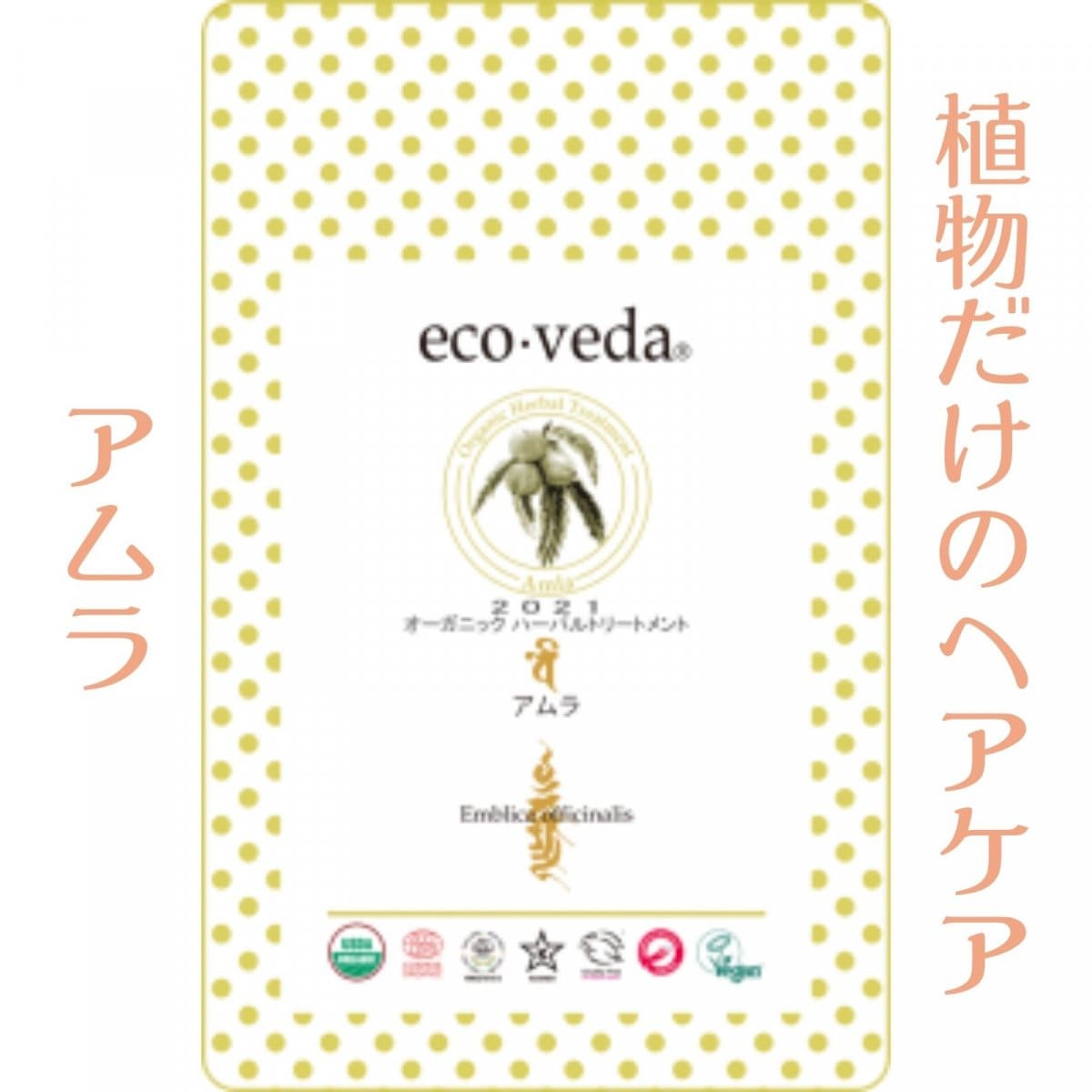 エコヴェーダ/オーガニックハーバルトリートメント/アムラ100g