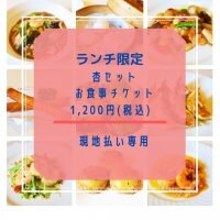 【現地払いのみ対応】ランチ限定 杏セット1,300円チケット｜ポイント付き♪長崎諫早 中華料理