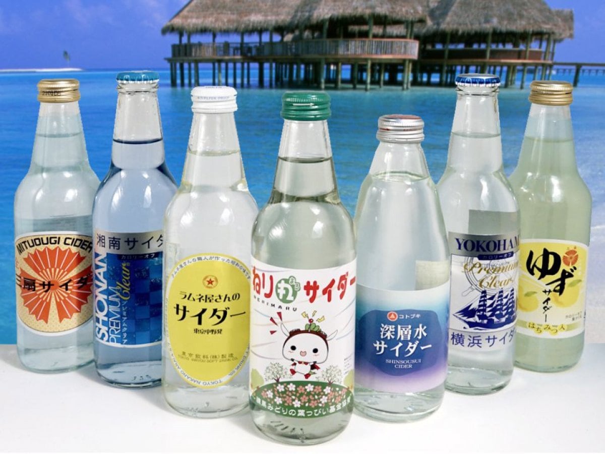 [本州送料無料]希少！地サイダー7種12本セット