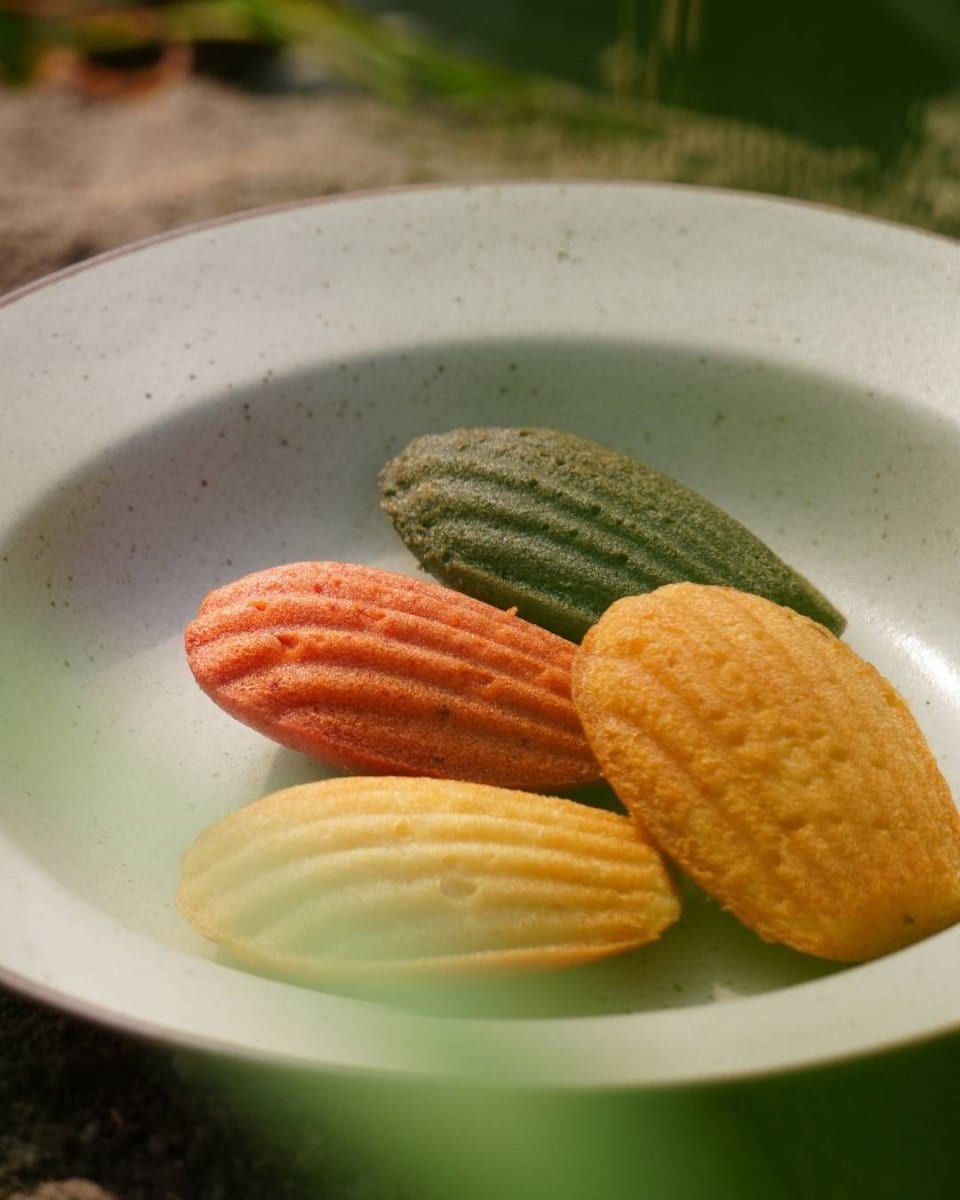 特集商品画像