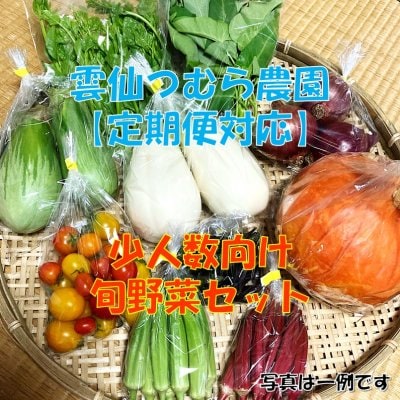 【定期便対応】【少人数向け】旬野菜セット/ 雲仙つむら農園