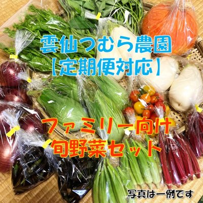 【定期便対応】【ファミリー向け】旬野菜セット/ 雲仙つむら農園