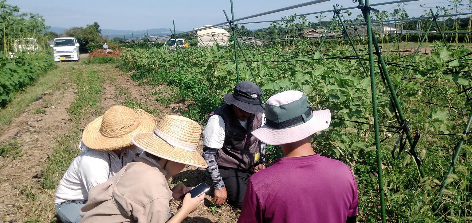 雲仙つむら農園＿農楽会　会員権
