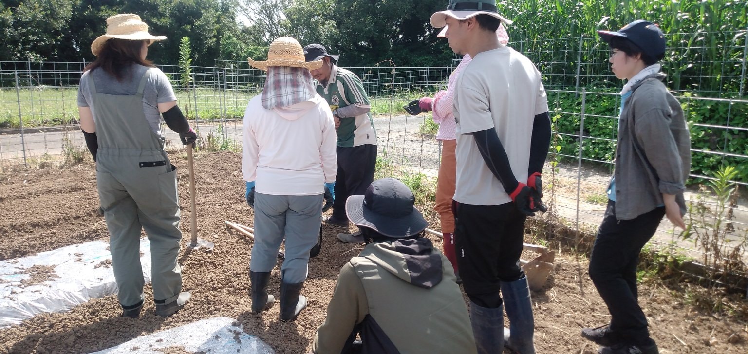 雲仙つむら農園＿農楽会　会員権