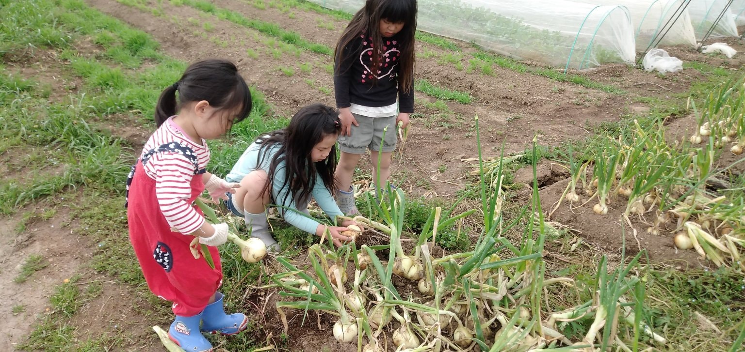 雲仙つむら農園＿農楽会　会員権