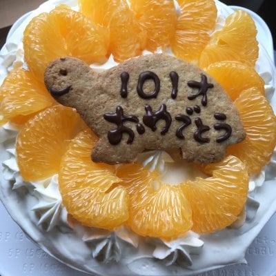 米粉１６cm　デコレーションケーキ　５号サイズ　