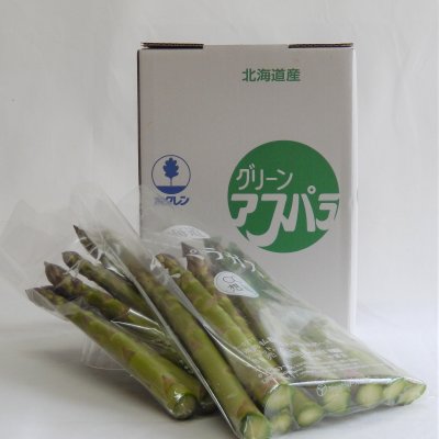 グリーンアスパラ　露地栽培　2Ｌサイズ　1ｋｇ