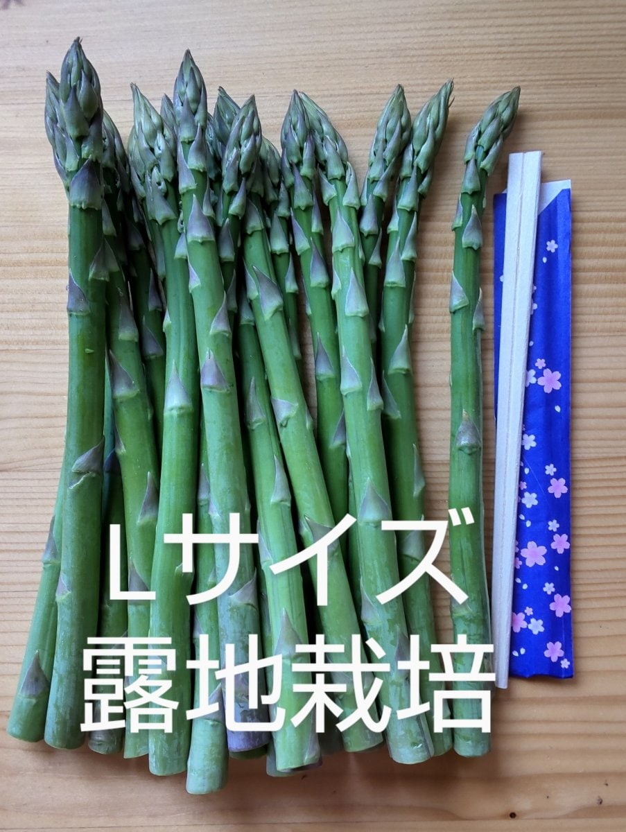 グリーンアスパラ露地栽培　Ｌサイズ１kg