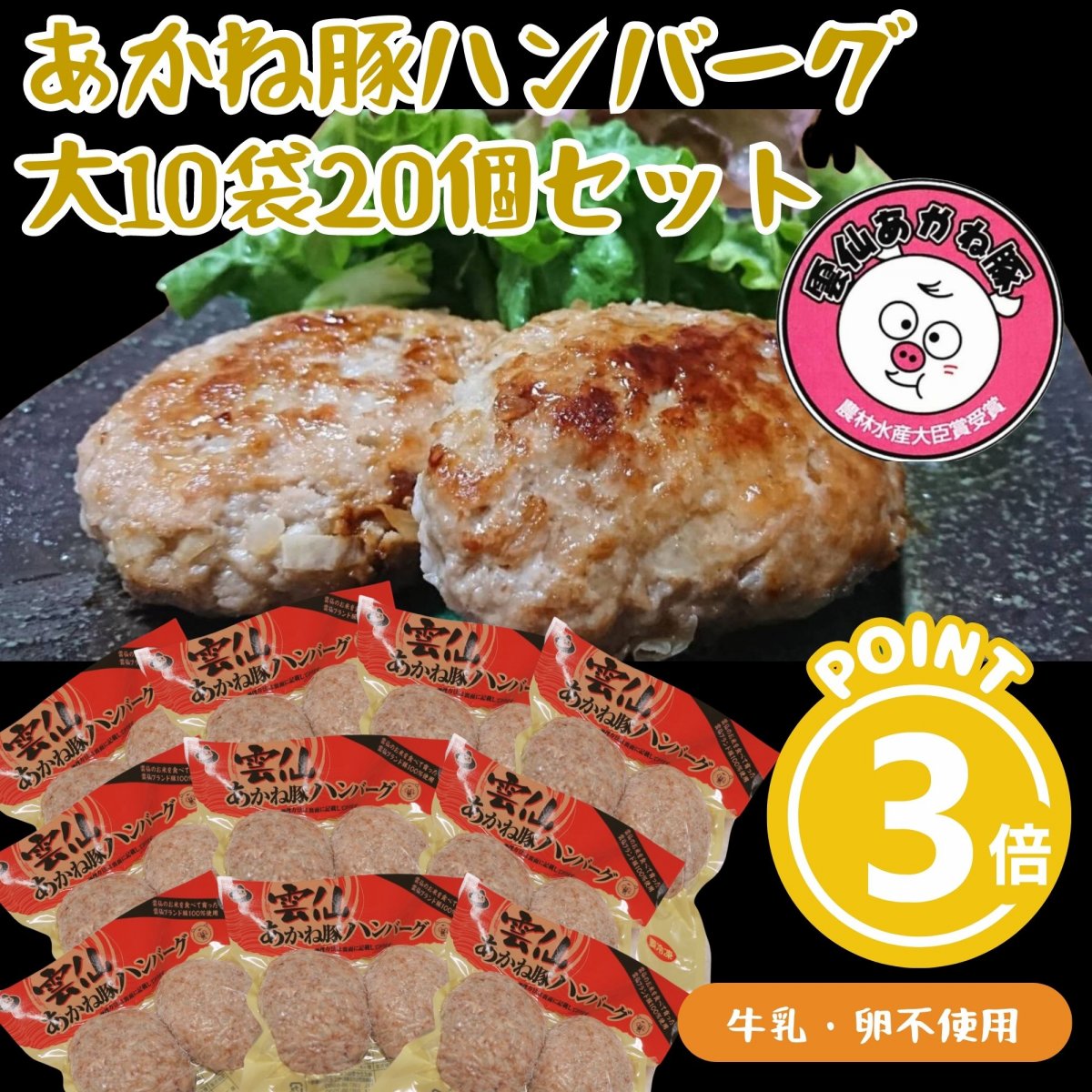 1番人気!!ハンバーグ大10袋 計20個セット・雲仙あかね豚【卵、牛乳不使用】長崎県雲仙のブランド豚｜雲仙どまんなか③