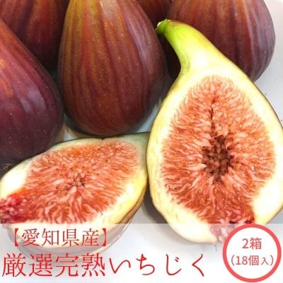 厳選完熟いちじく 2箱(18個入り)【送料無料】※一部地域除く