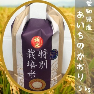 愛知県産 あいちのかおり  5kg